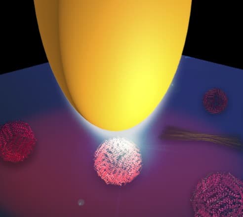 Illustration of infrared protein nano-spectroscopy. A metal tip (yellow) is illuminated with infrared light. Due the antenna function of the tip, the light is concentrated at the tip apex and creates a nanofocus, which illuminates the proteins. Copyright: CIC nanoGUNE
