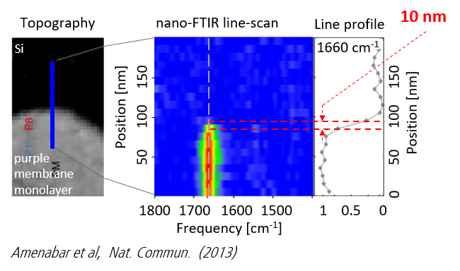 nano-FTIR line scan on purple membrane