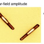 Investigating local conductivity of semiconductor nanowires
